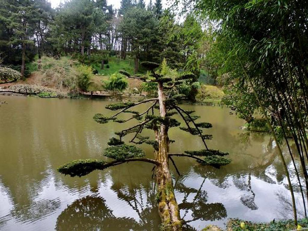 149 PARC ORIENTAL DE MAULEVIER MAINE ET LOIRE 2016 N2_000026.jpg